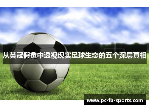 从英冠假象中透视现实足球生态的五个深层真相