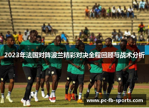 2023年法国对阵波兰精彩对决全程回顾与战术分析