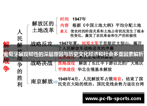 葡萄牙展现韧性的深层原因与历史文化经济和社会多重因素解析