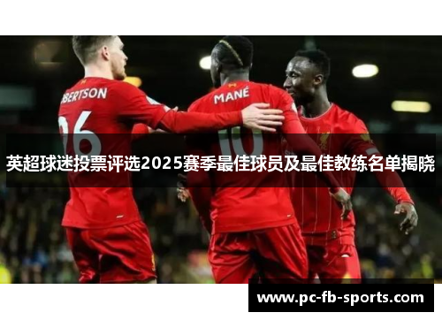 英超球迷投票评选2025赛季最佳球员及最佳教练名单揭晓