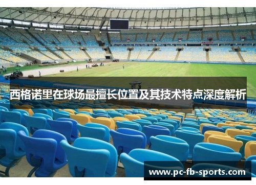 西格诺里在球场最擅长位置及其技术特点深度解析